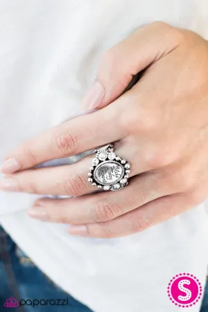 Paparazzi Ring ~ Make Today Count - White