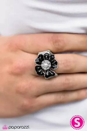 Paparazzi Ring ~ Mine, All Mine - Black